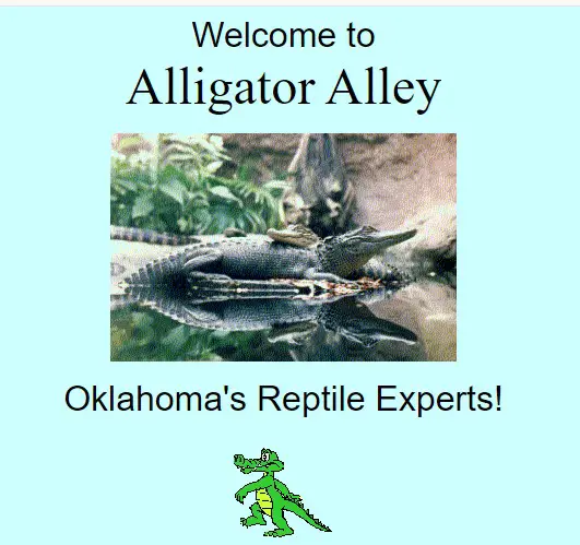 Company logo of Alligator Alley