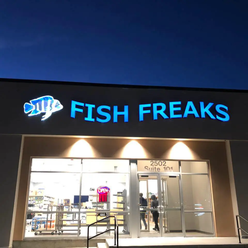 Company logo of Fish Freaks