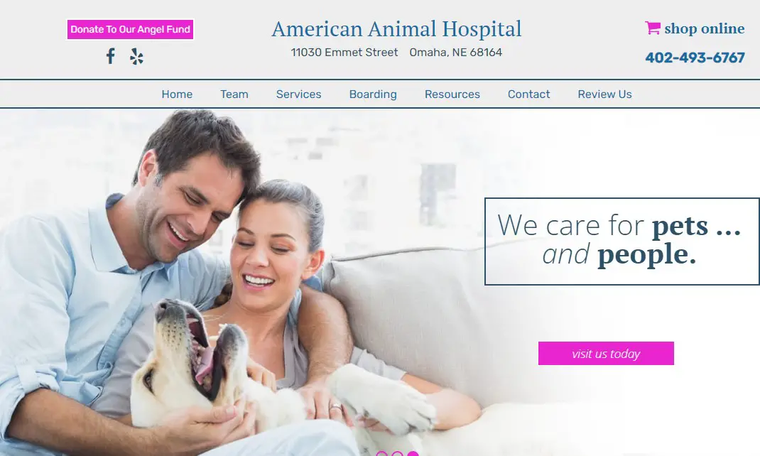 Company logo of American Animal Hospital