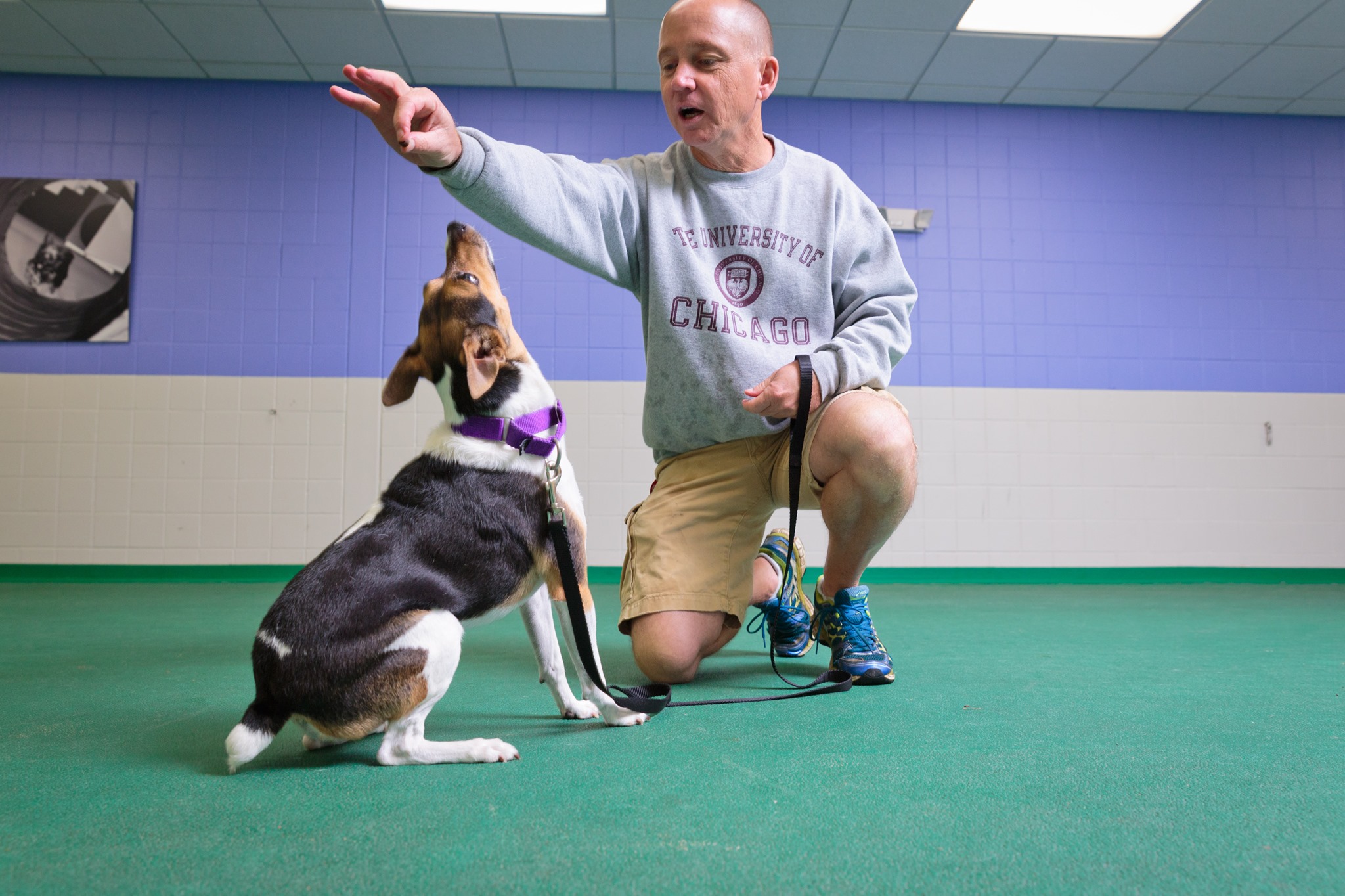 Nebraska Humane Society