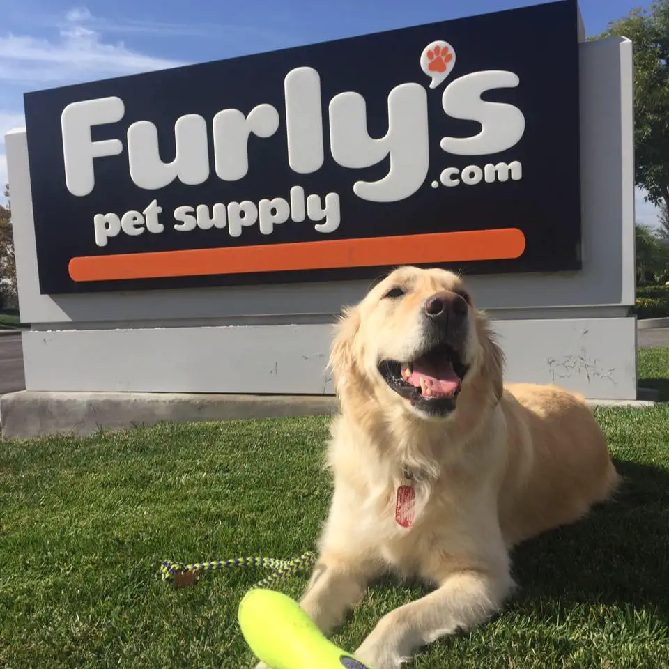 Company logo of Furly's Pet Supply