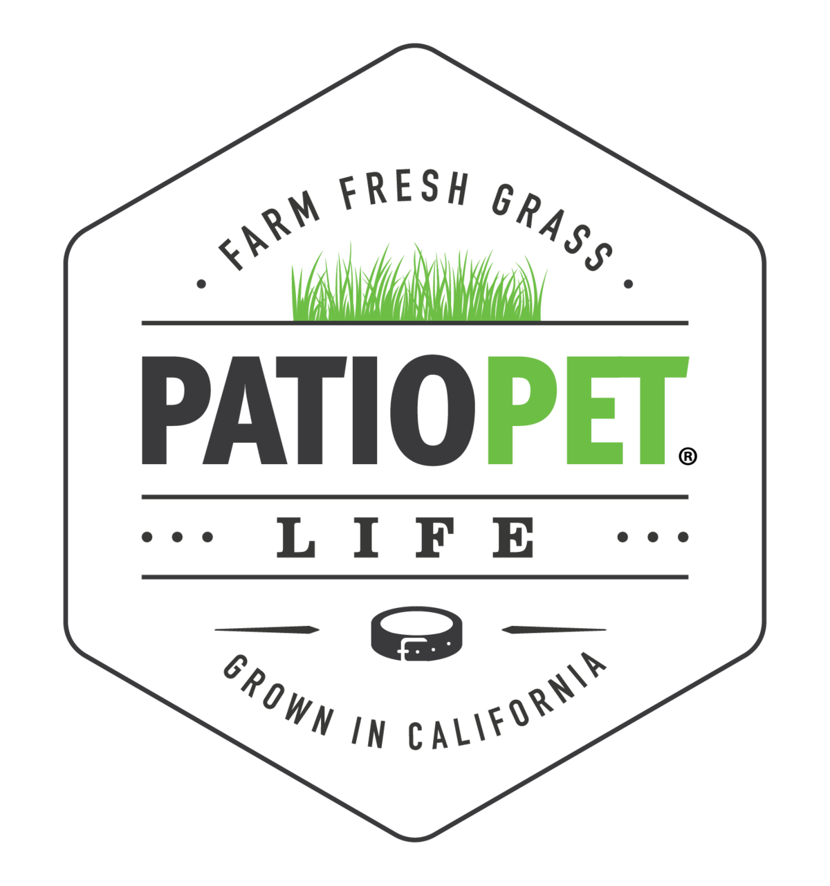 Company logo of Patio Pet Life