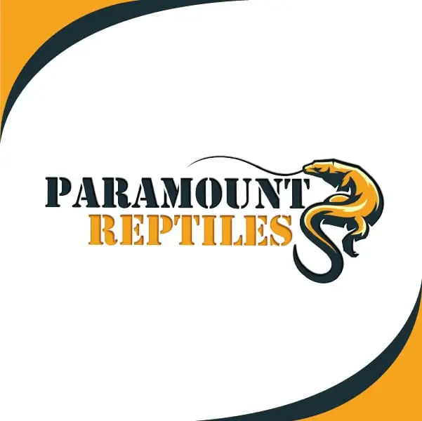 Company logo of Paramount Reptiles