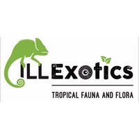 Company logo of ILLExotics