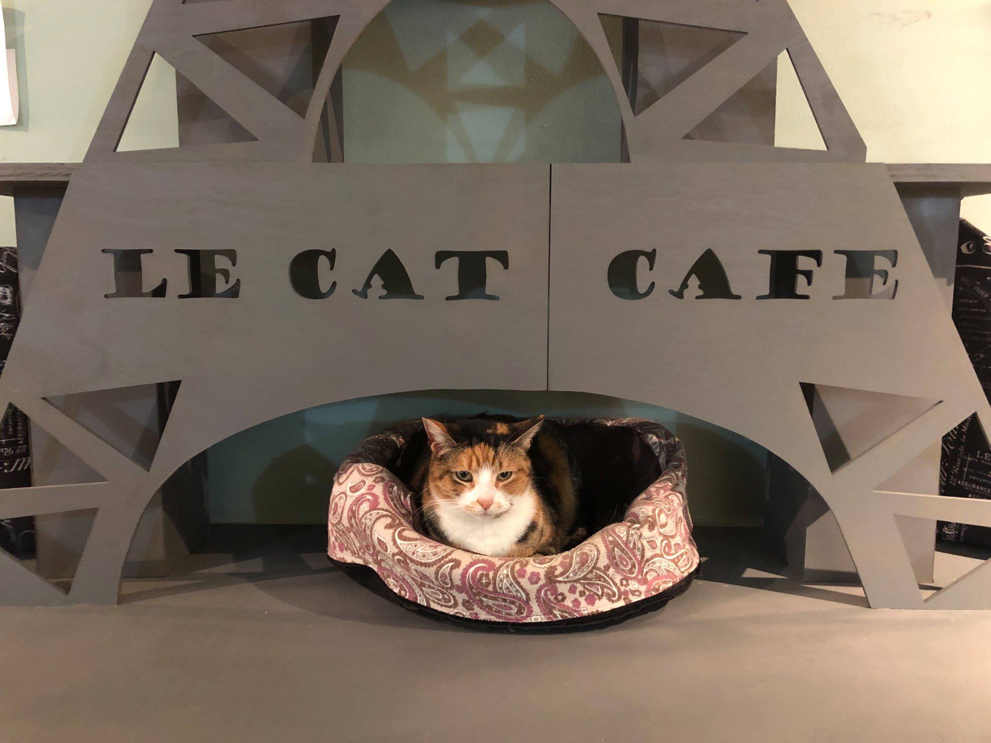 Le Cat Cafe