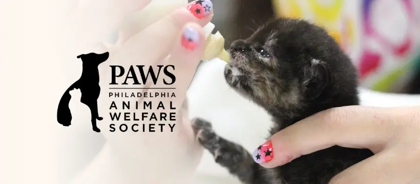 PAWS Spay/Neuter and Wellness Clinic