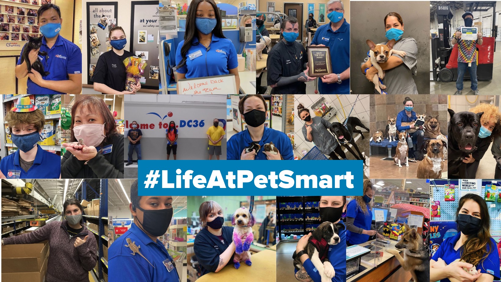 PetSmart Distribution Center