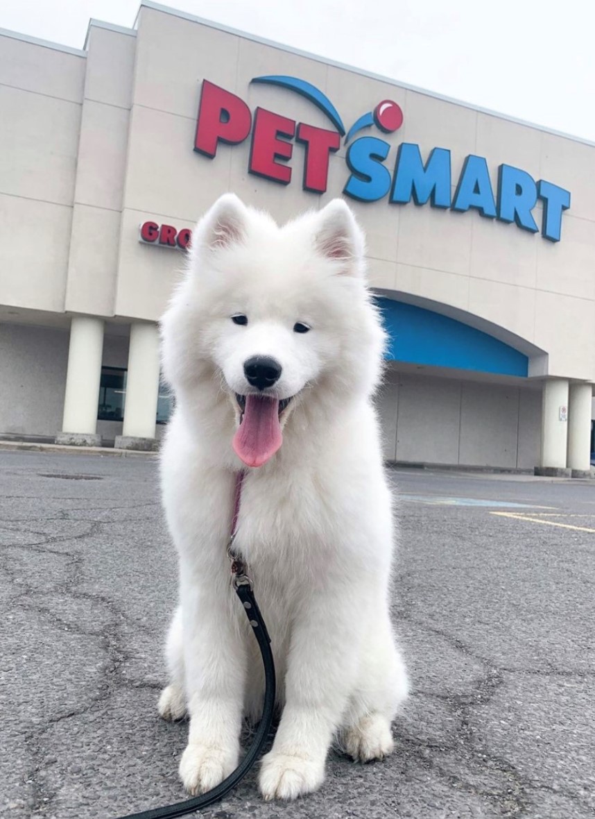 PetSmart Distribution Center