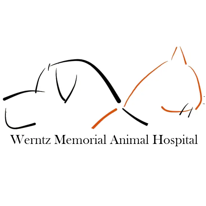 Company logo of Werntz Memorial Animal Hospital