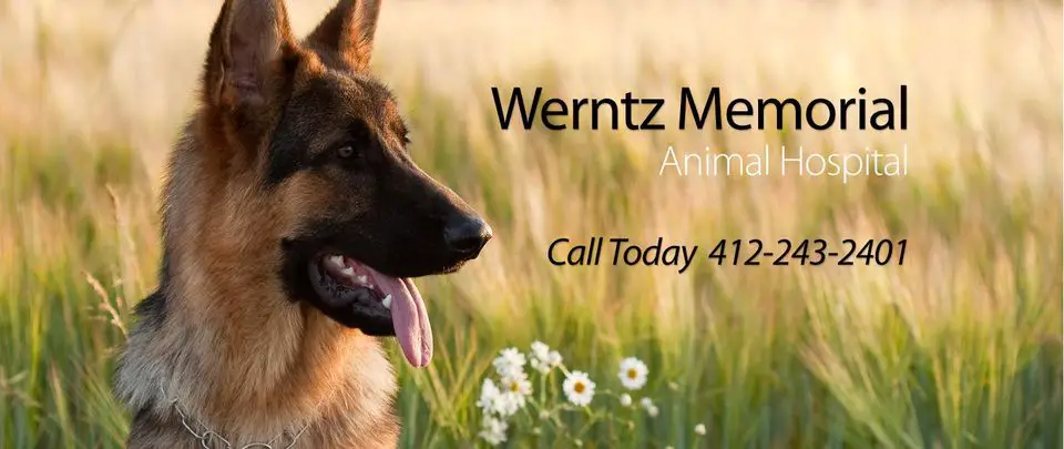 Werntz Memorial Animal Hospital