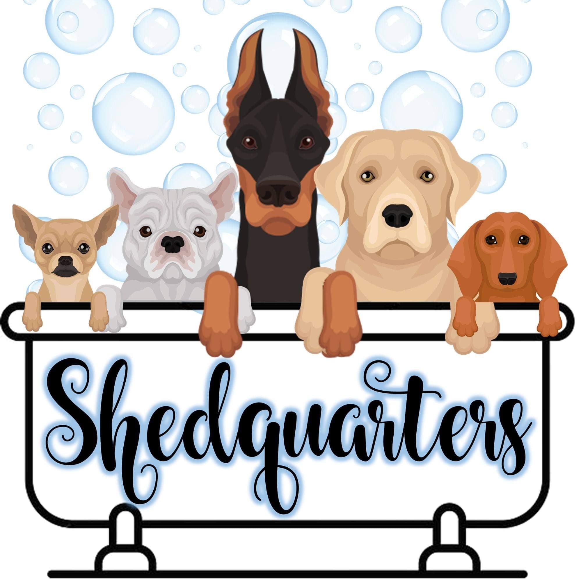 Company logo of Shedquarters Self Pet Wash & Pet Supplies