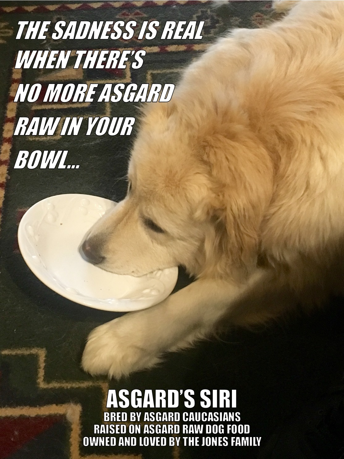 Asgard Raw Dog & Cat Food