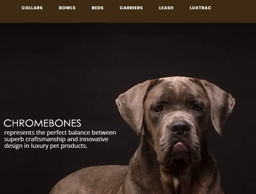 Company logo of Chrome Bones