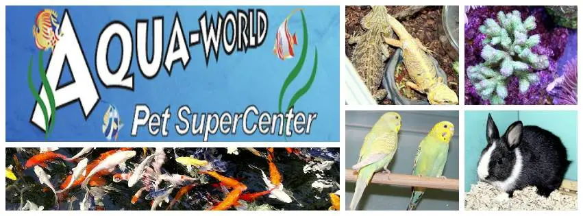 Aqua World Pet Super Center