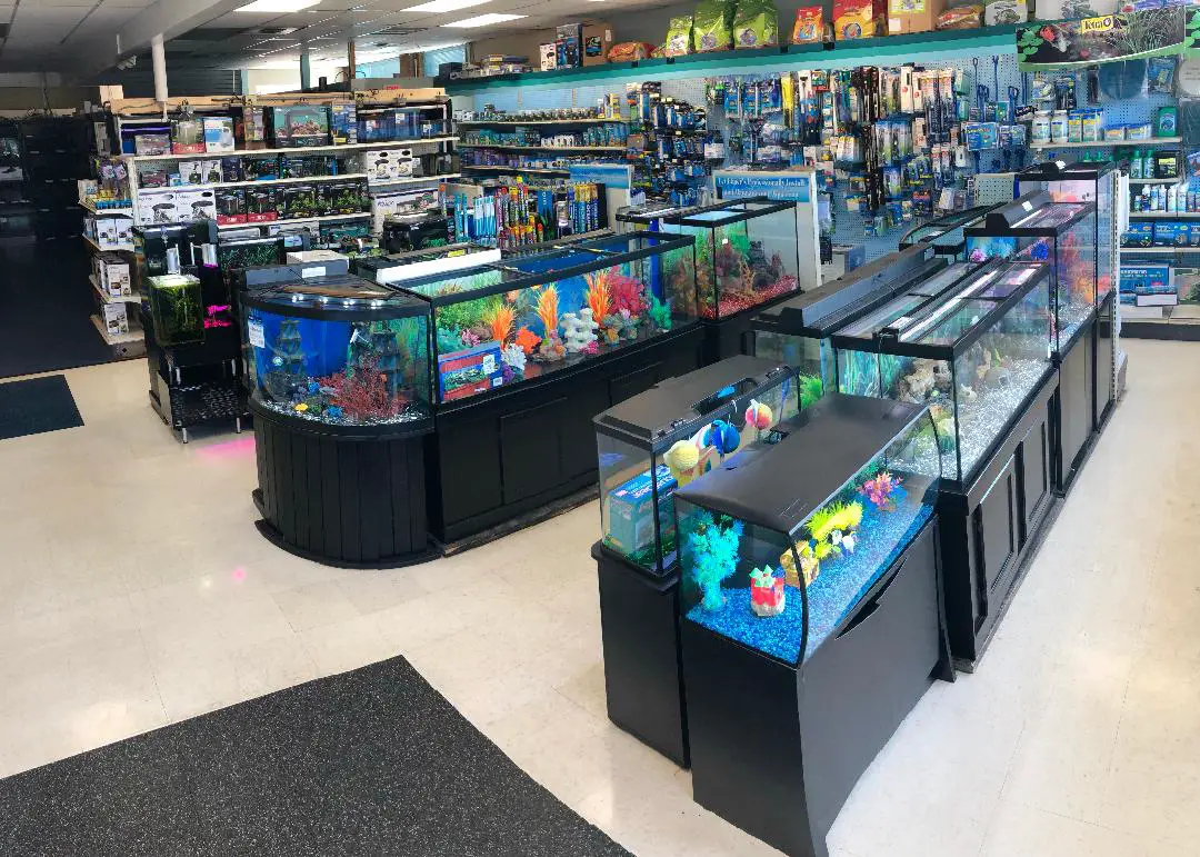 Elmer's Aquarium & Pet Center