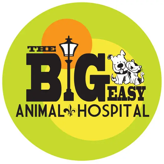 Company logo of The Big Easy Animal Hospital