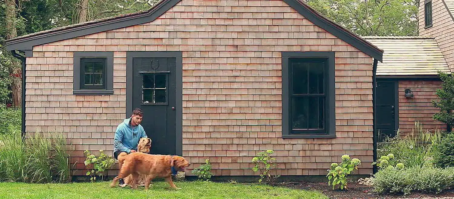 The Black Dog General Store