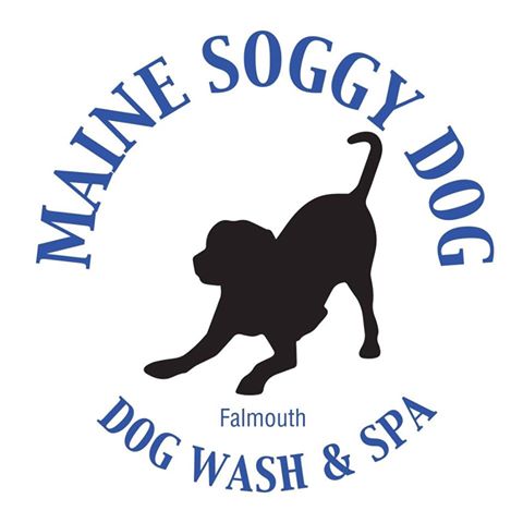 Company logo of Maine Soggy Dog | Dog Wash & Spa