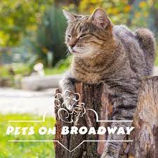 Pets on Broadway