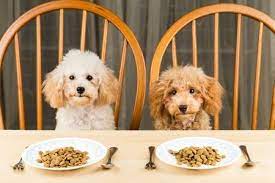 Natural Pet Food Solutions