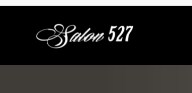 Company logo of Salon527