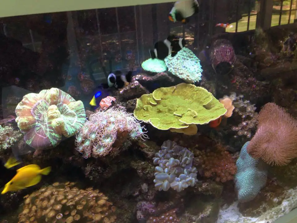 Fish Bowl Aquarium & Pet Mart