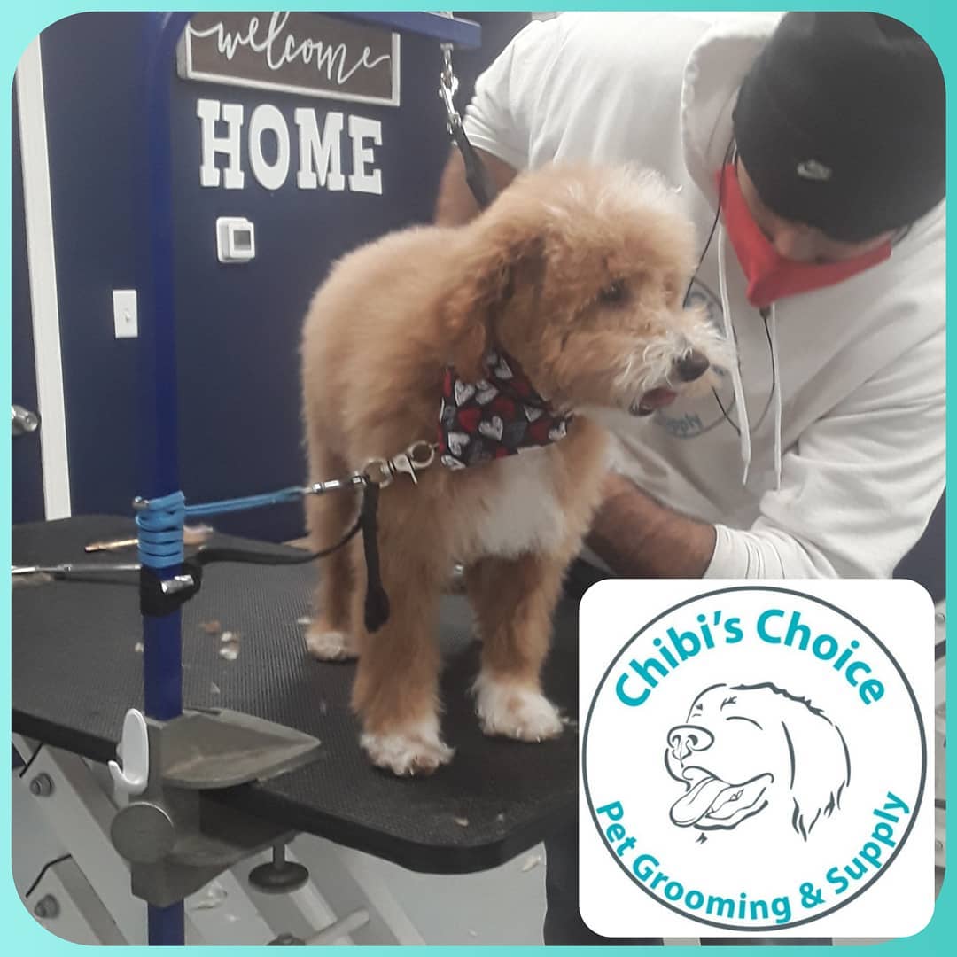 Chibi's Choice Pet Grooming & Supply