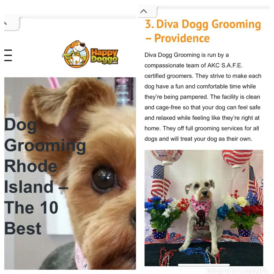 Diva Dogg Grooming (Shop) & Diva Dogg Grooming II (Mobile)