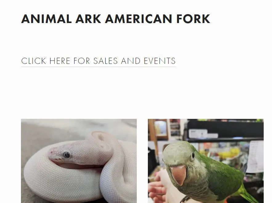 Company logo of Animal Ark