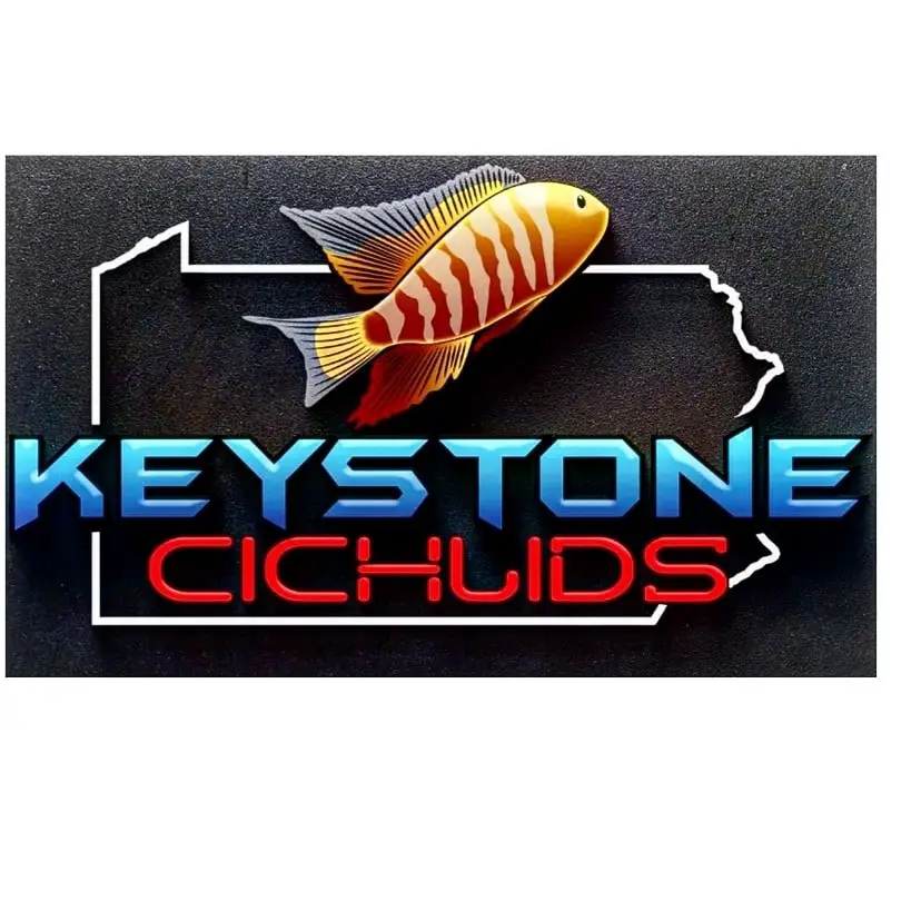 Company logo of Keystone cichlids llc
