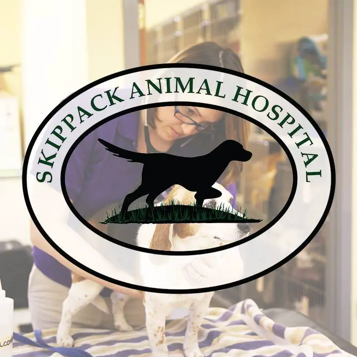 Company logo of Skippack Animal Hospital