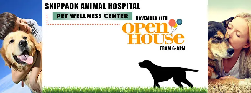 Skippack Animal Hospital