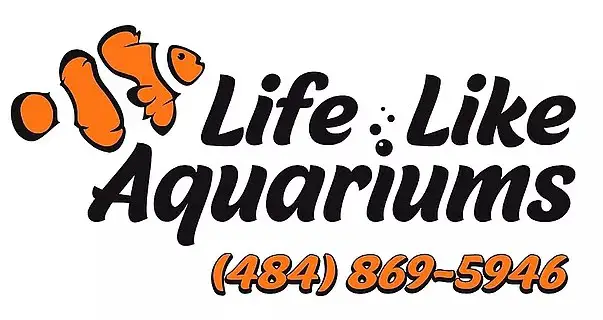 Company logo of Life Like Aquariums