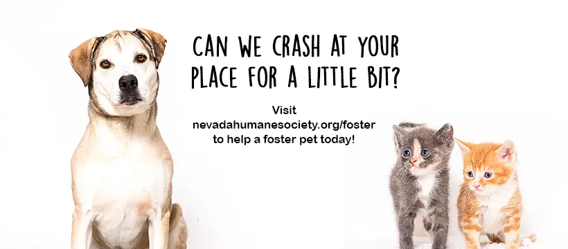 Nevada Humane Society