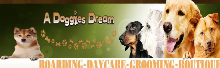 Company logo of A Doggie's Dream