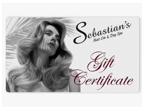 Sebastian's Hair-em & Day Spa