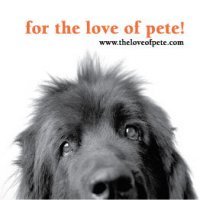 Company logo of For the Love of Pete!