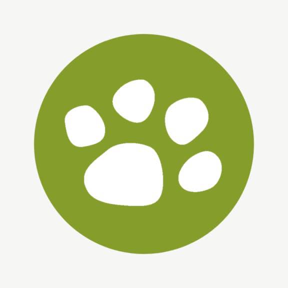 Company logo of Wholesalepet.Com