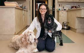 Virginia Veterinary Centers