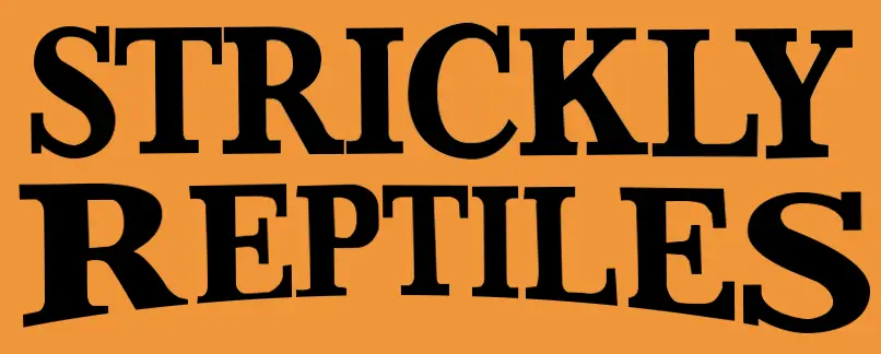 Company logo of Strickly Reptiles