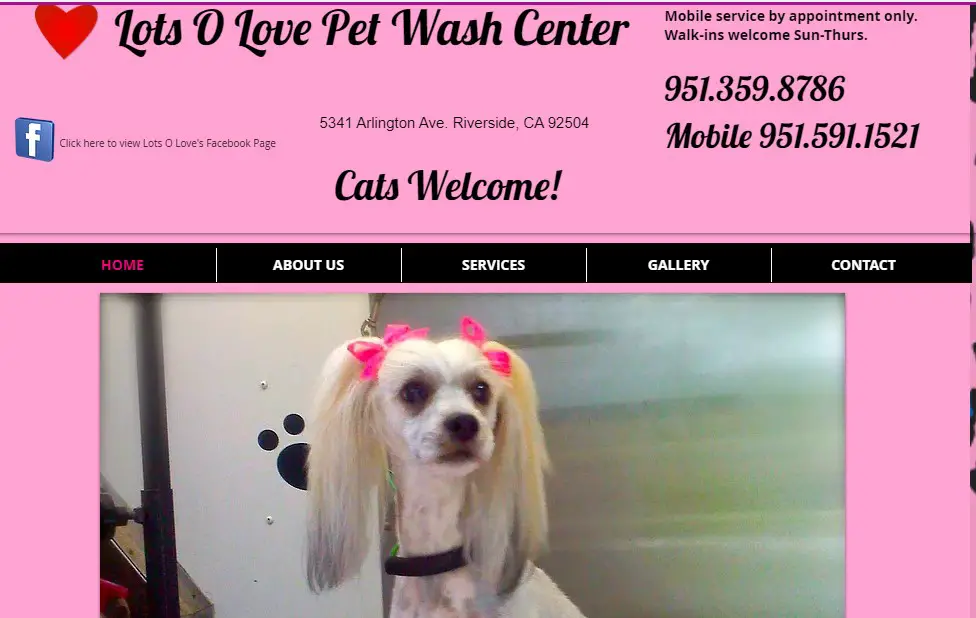Company logo of Lots O Love Pet Wash Center