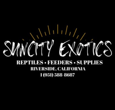 Company logo of SunCity Exotics