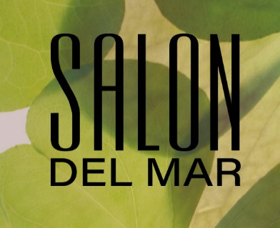 Company logo of Salon Del Mar