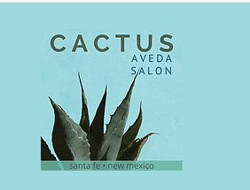 Company logo of Cactus Aveda Salon
