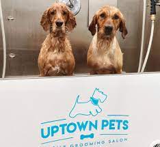 Uptown Pets