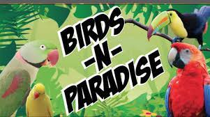 Company logo of Birds N Paradise