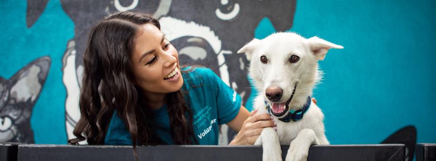 Found Animals Adopt & Shop - Culver City