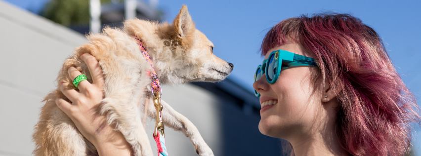 Found Animals Adopt & Shop - Culver City