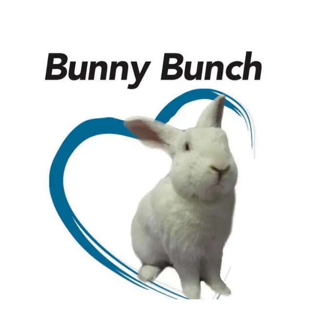 Company logo of Bunny Bunch Montclair
