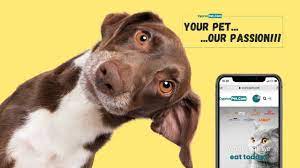 PETS EMARKET LTD